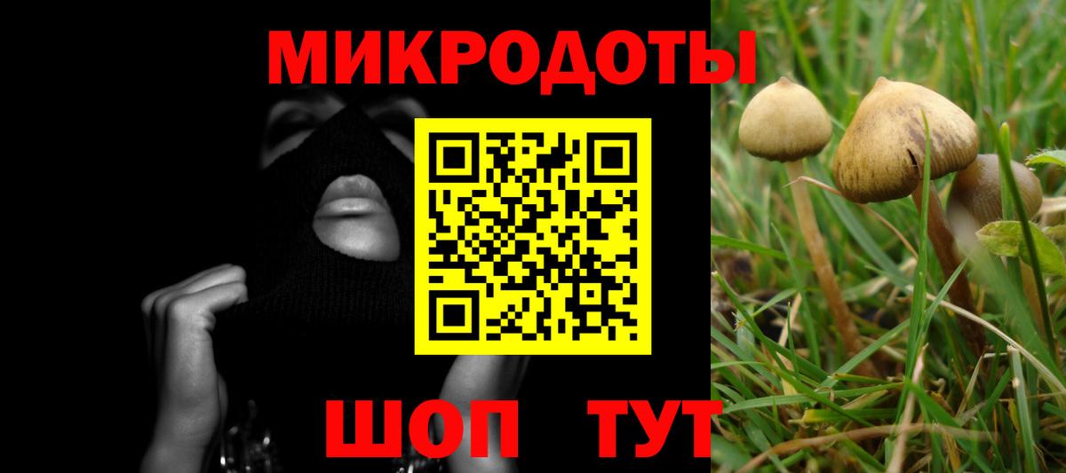 Кондопога  Псилоцибиновые грибы Magic Shrooms  Вход с VPN  Псилоцибиновые грибы Magic Shrooms 